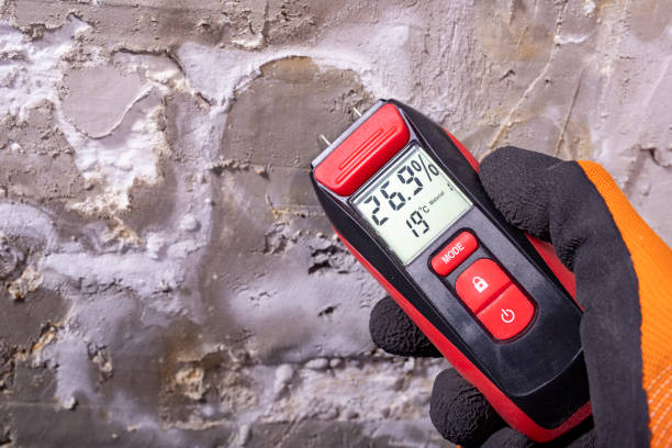 Best Mold Remediation  in Dearborn, MI