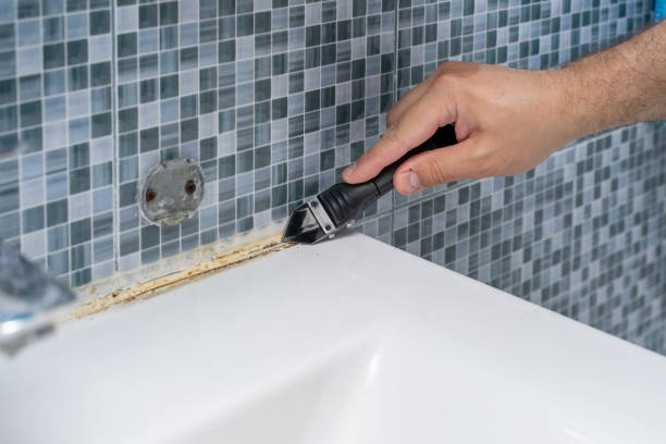 Best Affordable Mold Removal  in Dearborn, MI