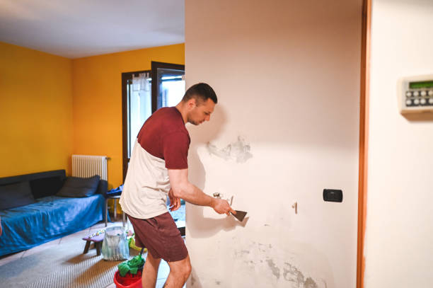Best Office Mold Removal Services  in Dearborn, MI